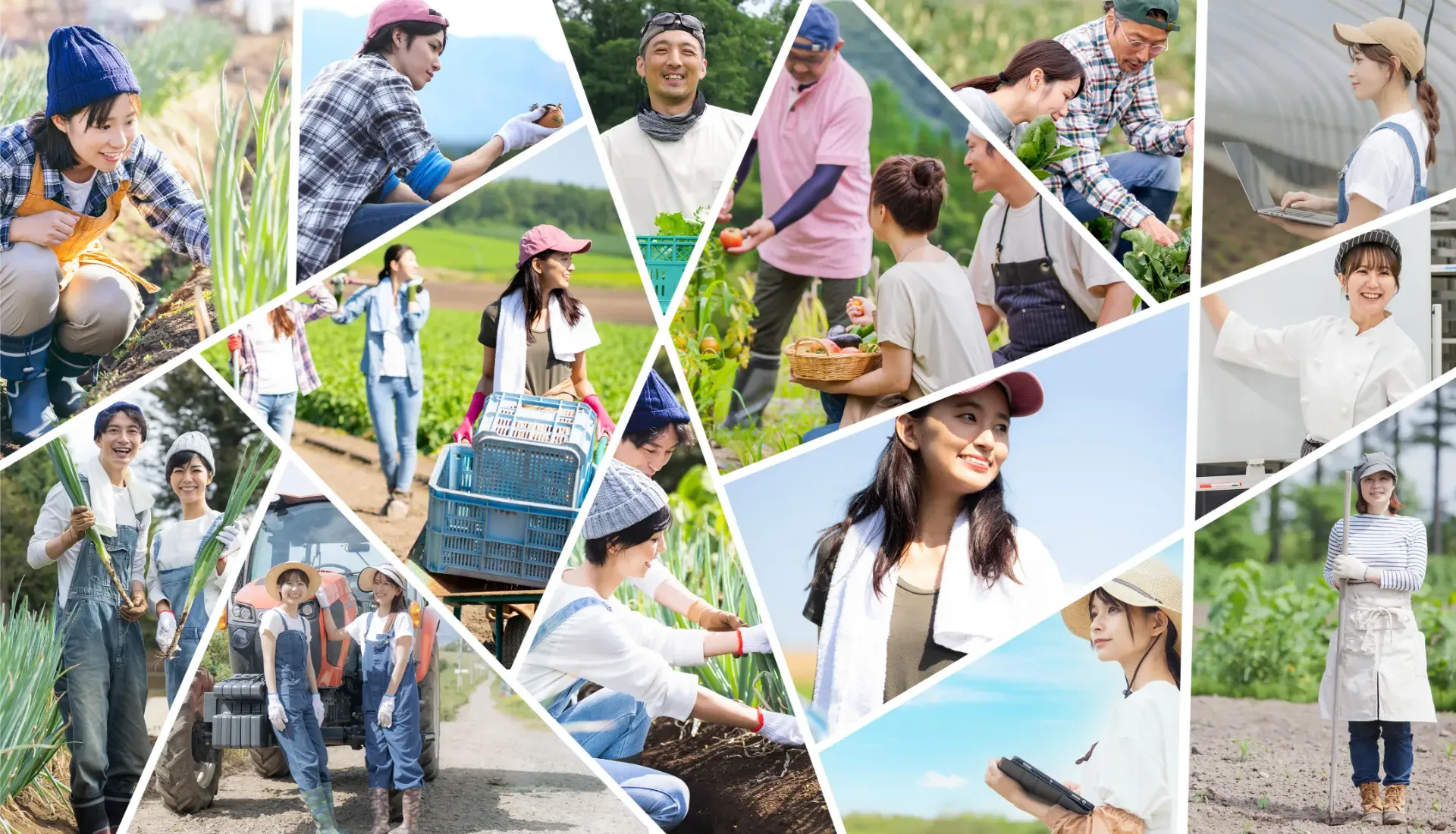 ロイヤルアグリアカデミー