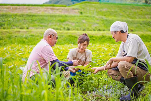 体験者の声10タイトル